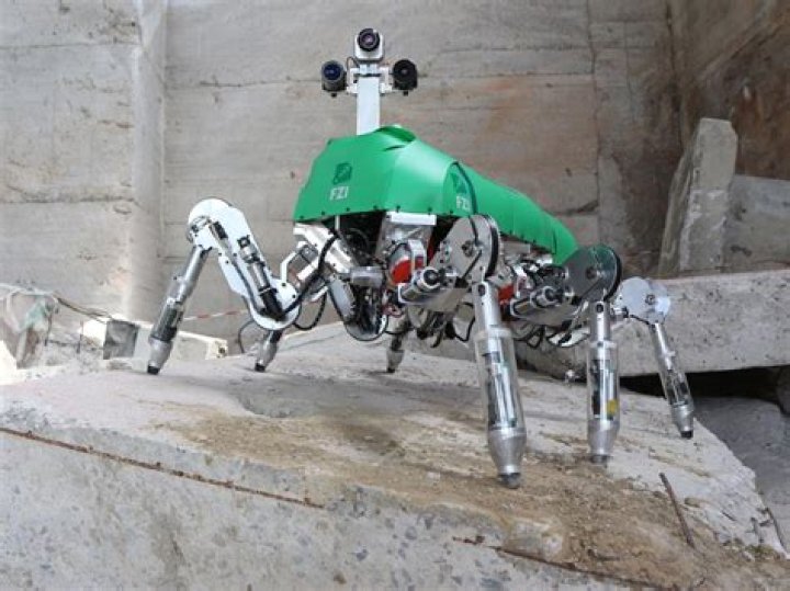 Affordable Quince Robots: Get The Best Prices Here