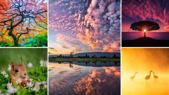 Astonishing Caldeira Velha Photos That Capture Nature's Beauty