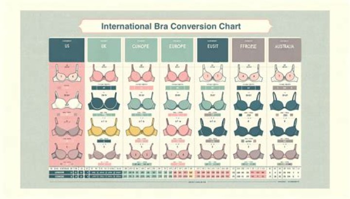 Bra Size And Style On Display