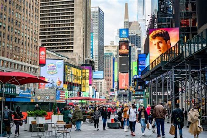 Busy Bees Buzz Around Times Square