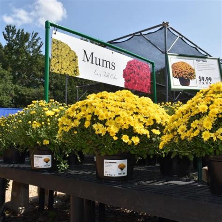 Complete Guide To Eye-Catching Garden Center Signage