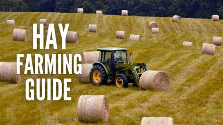 Discover The Hay Haven: Or PRESERVATION At Or PRESERVATION Hay Farms