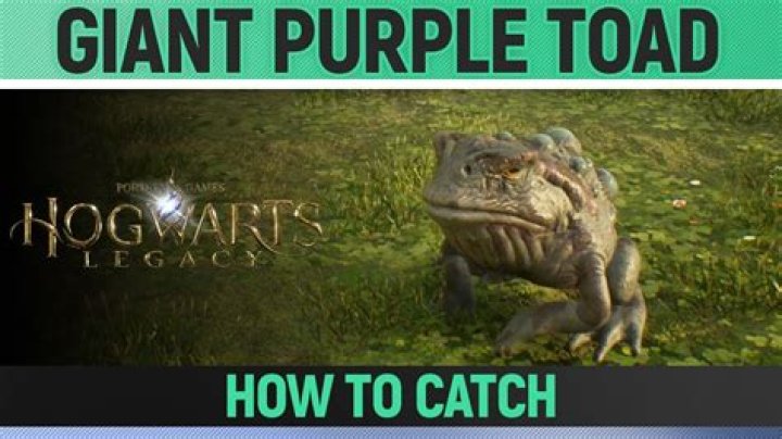 Discover The Hidden Abode Of Giant Purple Toads In Hogwarts Legacy