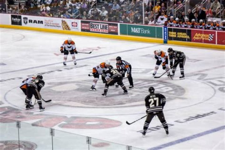 Discover The Rich Hershey Bears History: Uncovering A Legacy Of Triumphs