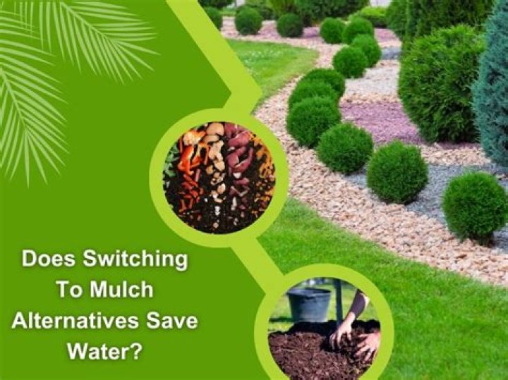 Effective Alternatives To Mulch For A Thriving Garden