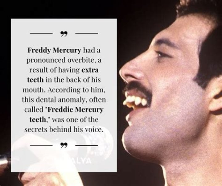 Explore Freddie Mercury's Marital Status: Was Freddie Mercury Ever Married?