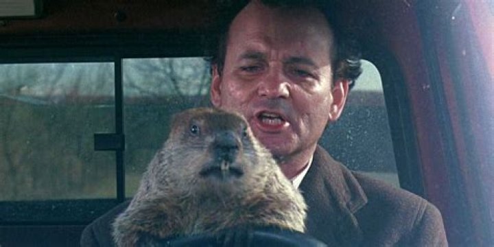 Groundhog Day Delights: The Ultimate Guide To Groundhog Snacks