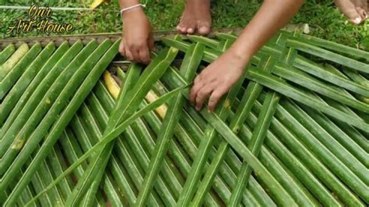 How To Use Palm Frond Leaves In Your Landscaping