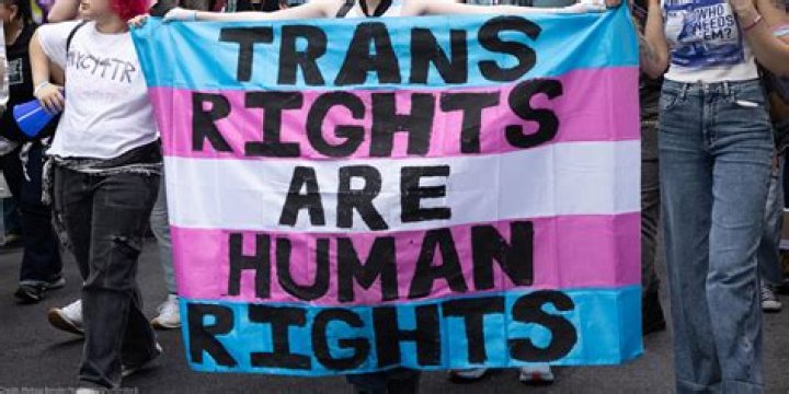Lily Cade's Anti-Trans Logic: A Window Into TERF Arguments