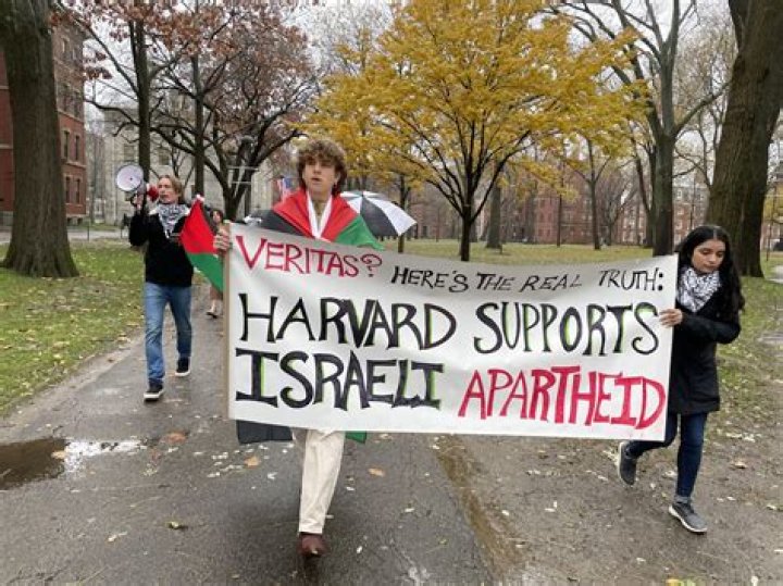 March For Palestine In Austin: Stand In Solidarity