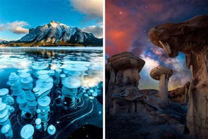 Mesmerizing Photos Maison: Capture Life's Moments