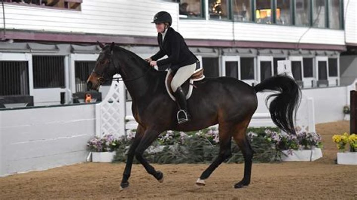 Nelson Pessoa: A Legend In Equestrianism