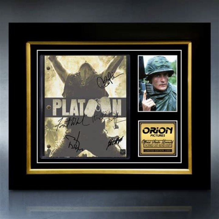 Platoon Script: Crafting Epic Wartime Narratives