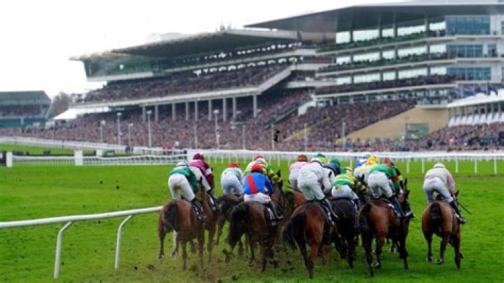 Professional And Affordable Race Photography | Capture Your Racing Moments