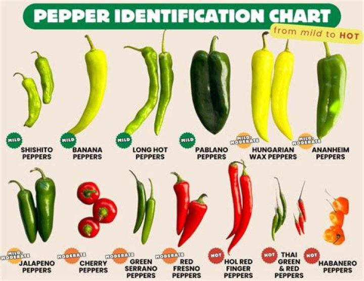 Solve The Ultimate Peppers Crossword: Test Your Pepper Proficiency
