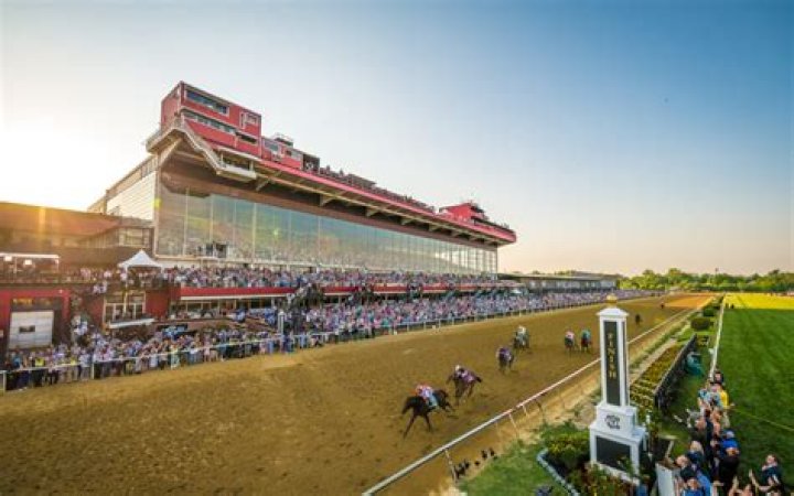 The Best Pimlico Track Photographer: Capture Your Racing Moments