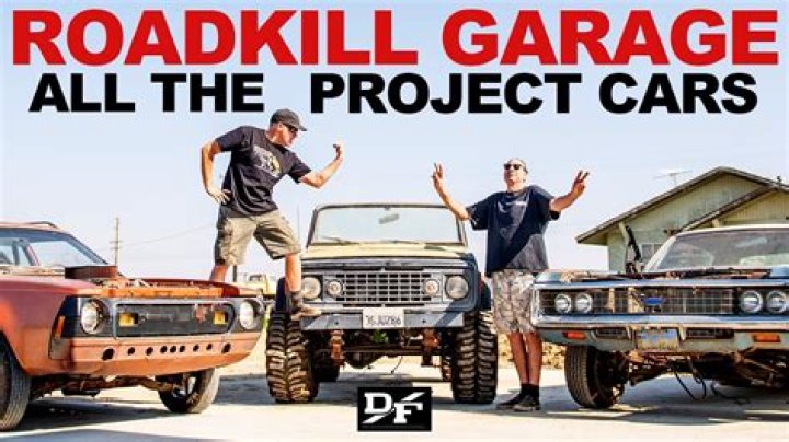 The Dangers Of Roadkill: Why Your Dog Should Never Eat It