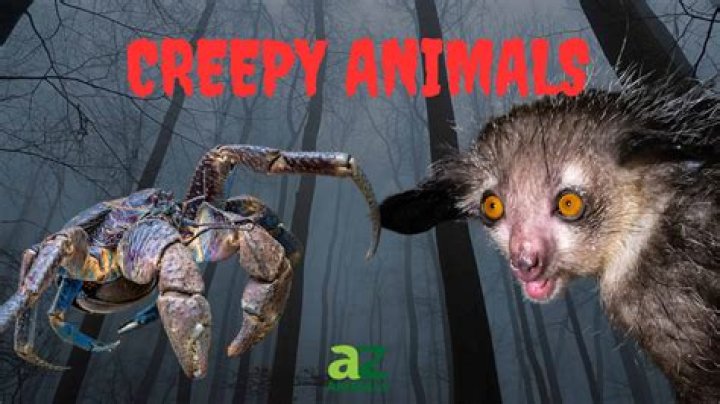The Internet's Creepiest Thriller: Gender Dysphoria As Creepypasta