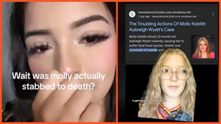 The Molly Noblitt And Ava Case: Truth And Justice Unveiled