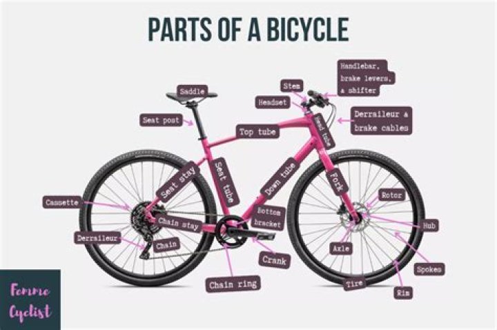 The Ultimate Guide To Bicycle Diagram Parts: An Essential Reference
