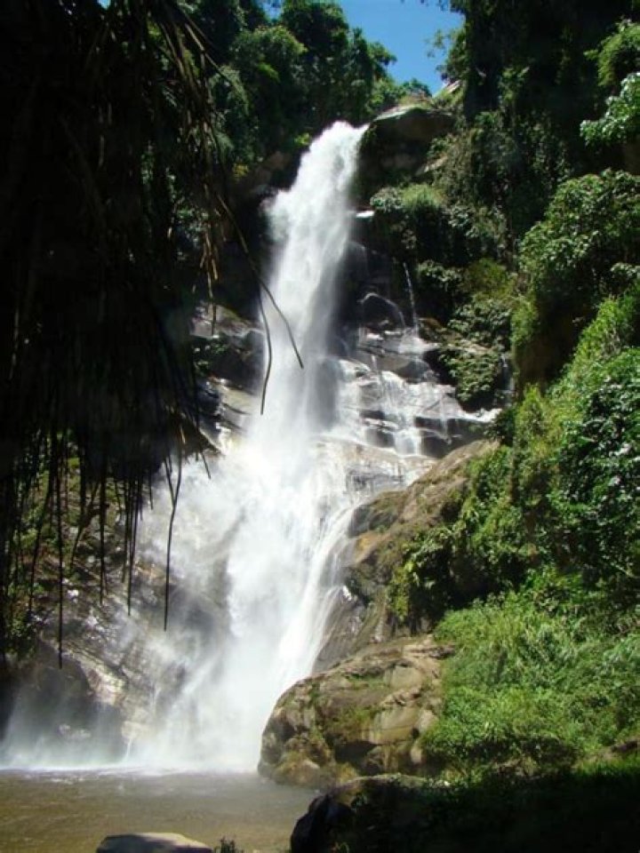 The Ultimate Guide To Exploring The Wonders Of Pittier National Park