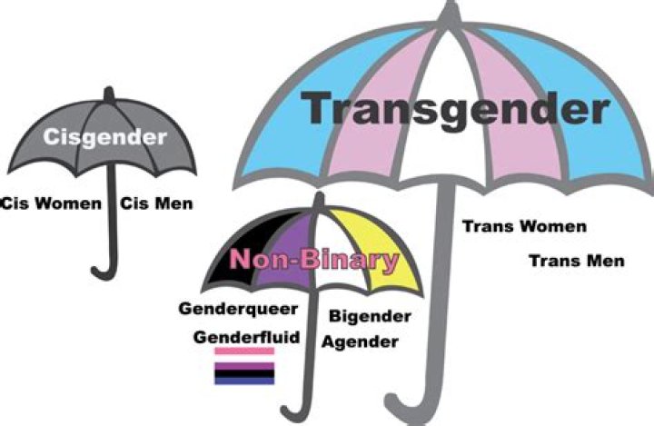 Tragic Loss: Transphobia Leads To Fatal Attacks On Cisgender Individuals
