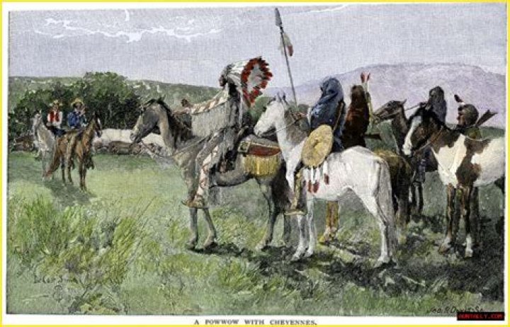 Travoise Cannons: An Indigenous Artillery Prowess