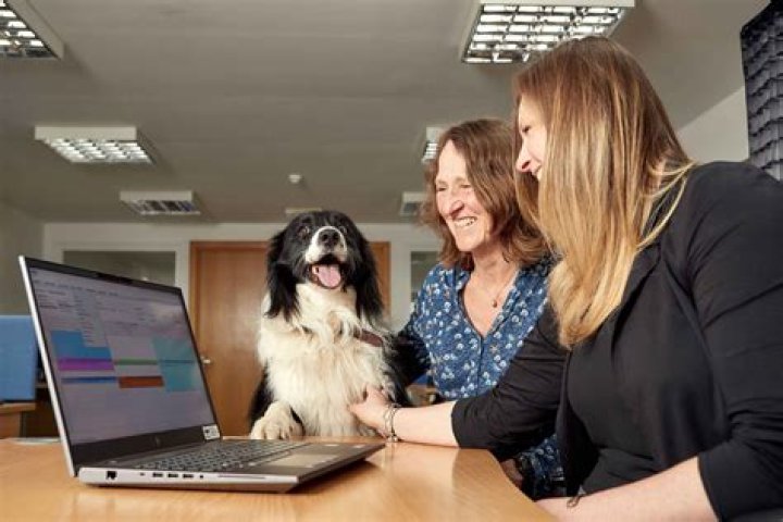 Trusted Caduceus Veterinary | Providing Exceptional Animal Care