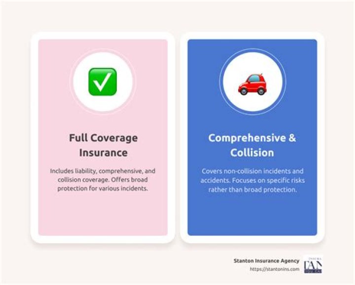 Trusted Coverage Professors For Comprehensive Insurance Protection