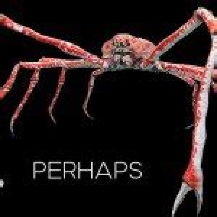 Uncover The Legendary Memetity Of The Perhaps Crab